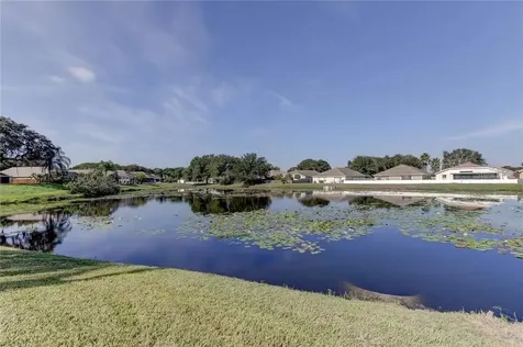 12213 Ravens Nest Place Riverview FL 33578