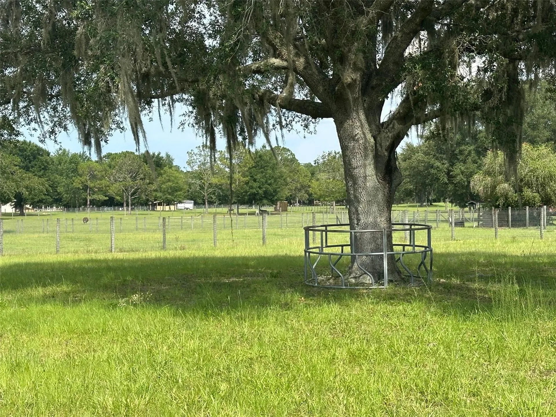 905 NW 80th Avenue Ocala FL 34482