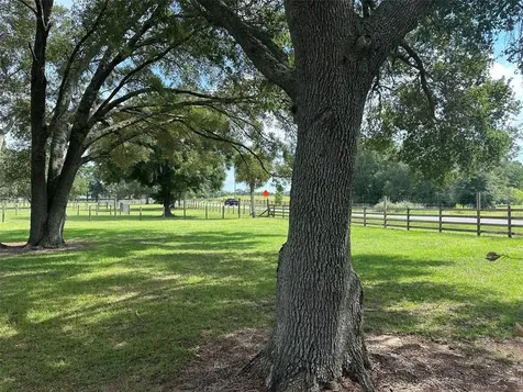 905 NW 80th Avenue Ocala FL 34482