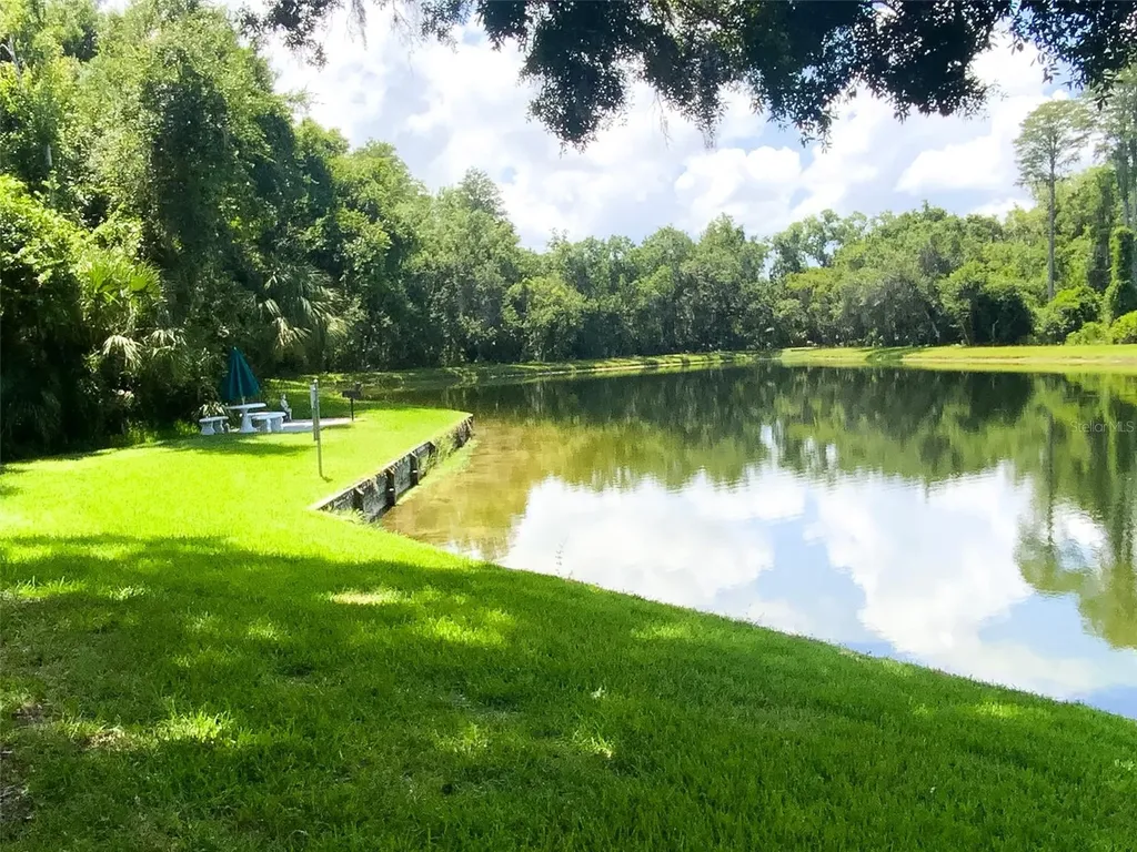3134 Lake Pine Way Tarpon Springs FL 34688