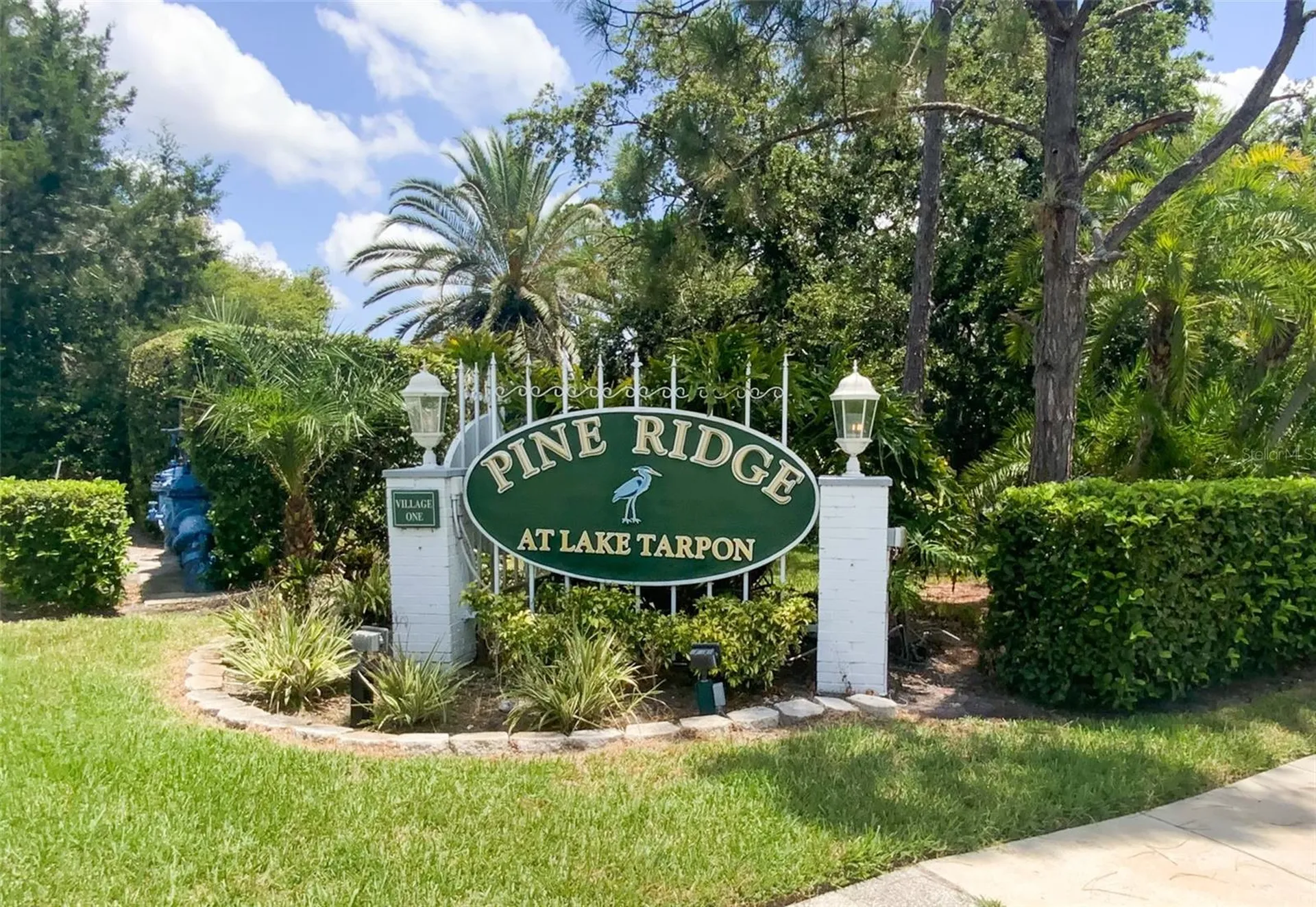 3134 Lake Pine Way Tarpon Springs FL 34688