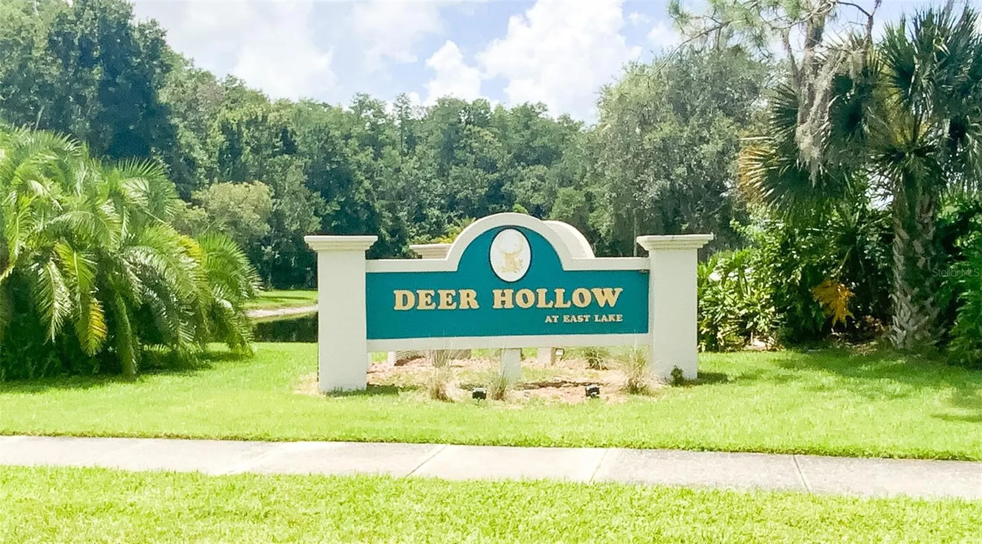 3134 Lake Pine Way Tarpon Springs FL 34688