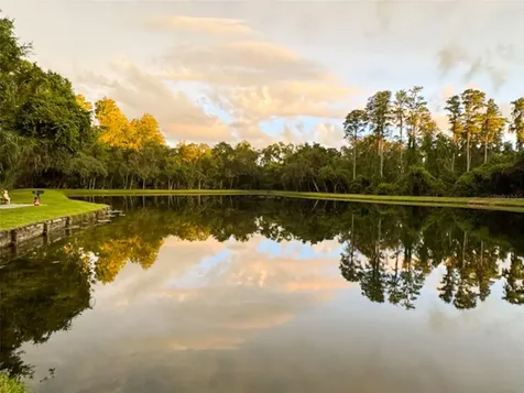 3134 Lake Pine Way Tarpon Springs FL 34688