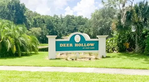 3134 Lake Pine Way Tarpon Springs FL 34688
