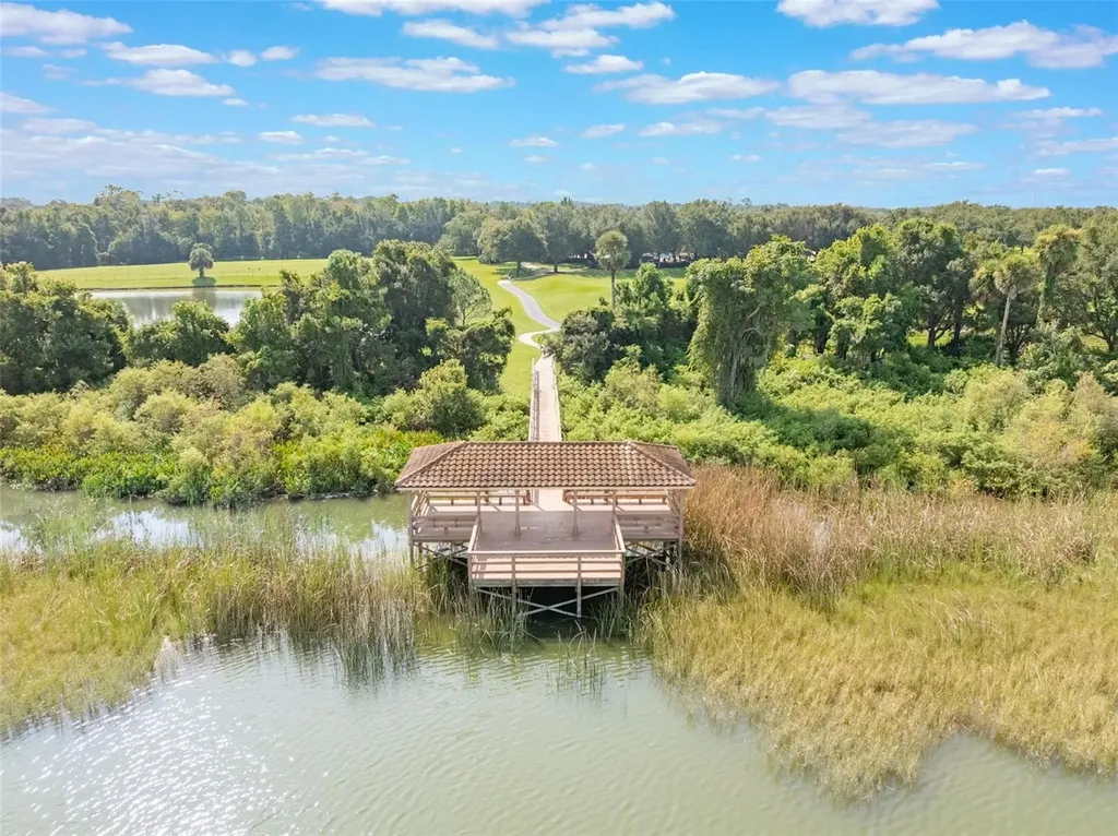 453 Torgiano Drive Ocoee FL 34761