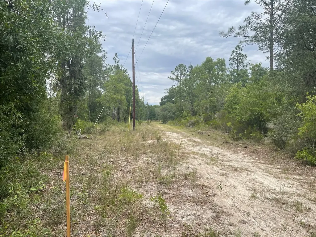 6624 NE 96 Avenue Bronson FL 32621