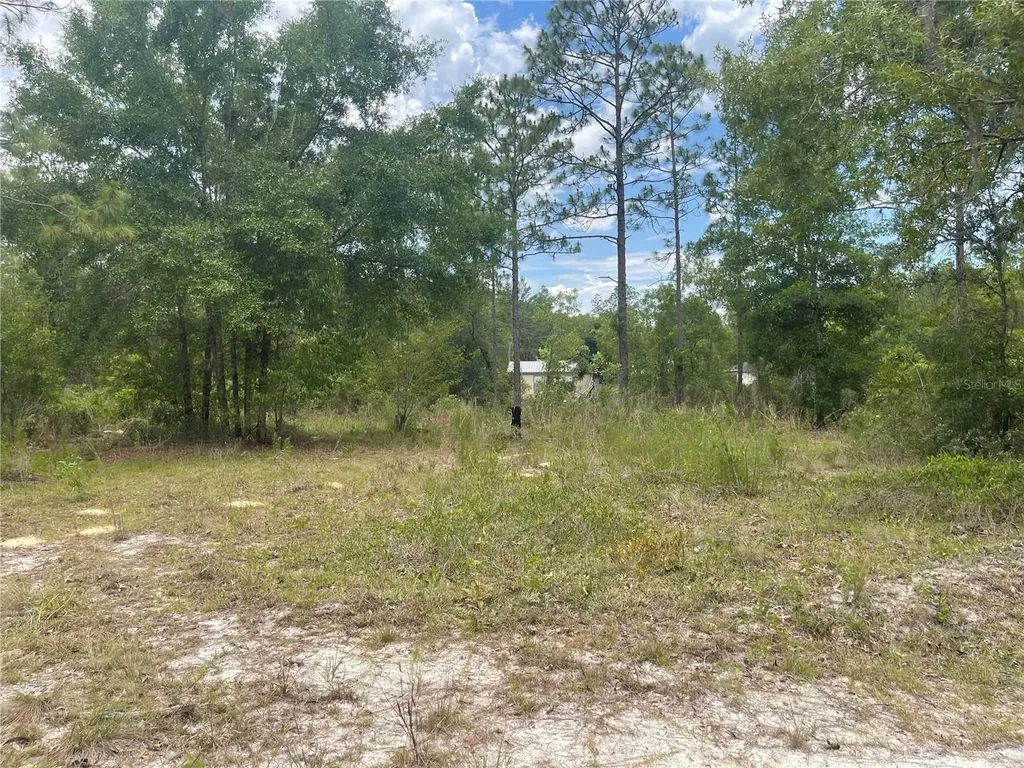 6624 NE 96 Avenue Bronson FL 32621