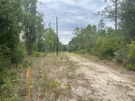 6624 NE 96 Avenue Bronson FL 32621