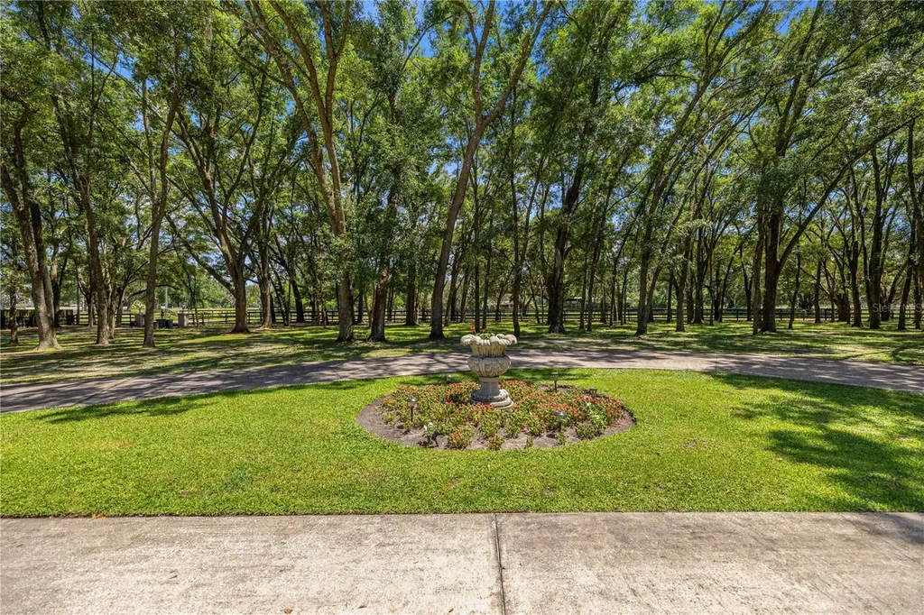 7305 SW 86th Lane Ocala FL 34476