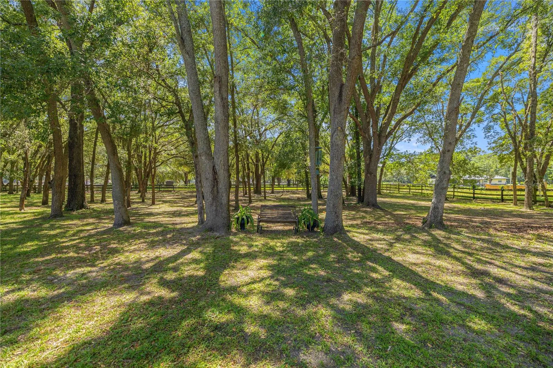7305 SW 86th Lane Ocala FL 34476