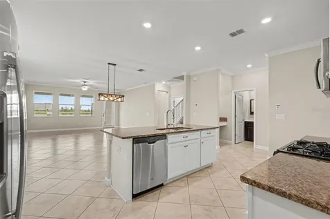 9173 Shadyside Lane Land O Lakes FL 34637