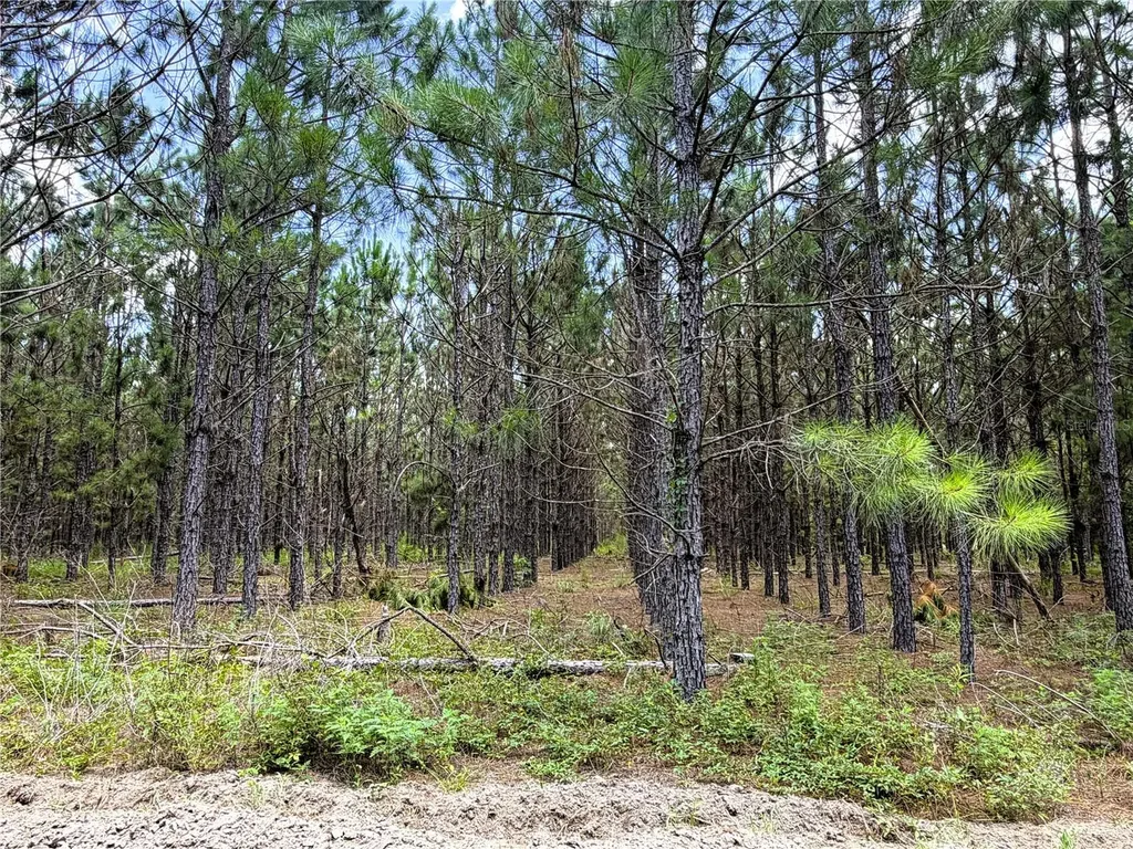 9970 SE 154th Avenue White Springs FL 32096