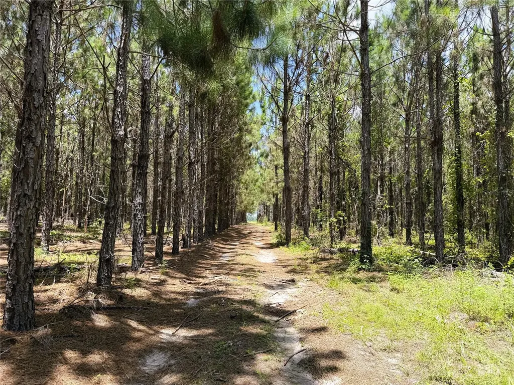 9970 SE 154th Avenue White Springs FL 32096