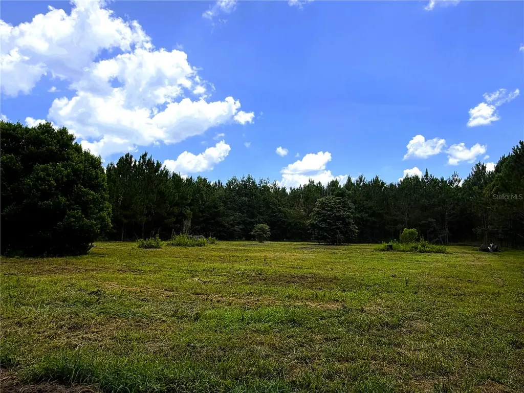 9970 SE 154th Avenue White Springs FL 32096