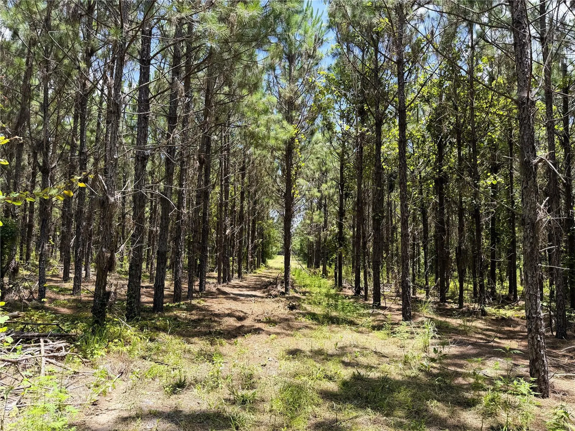 9970 SE 154th Avenue White Springs FL 32096
