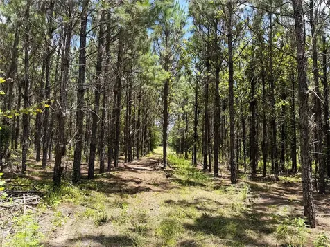 9970 SE 154th Avenue White Springs FL 32096