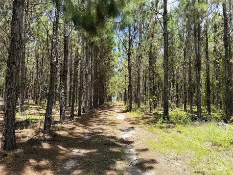 9970 SE 154th Avenue White Springs FL 32096