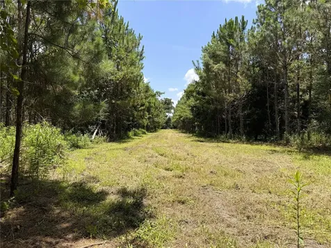 9970 SE 154th Avenue White Springs FL 32096