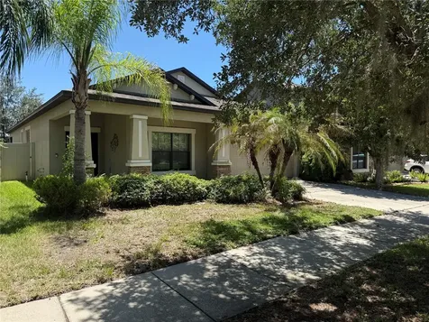11617 Palmetto Pine Street Riverview FL 33569
