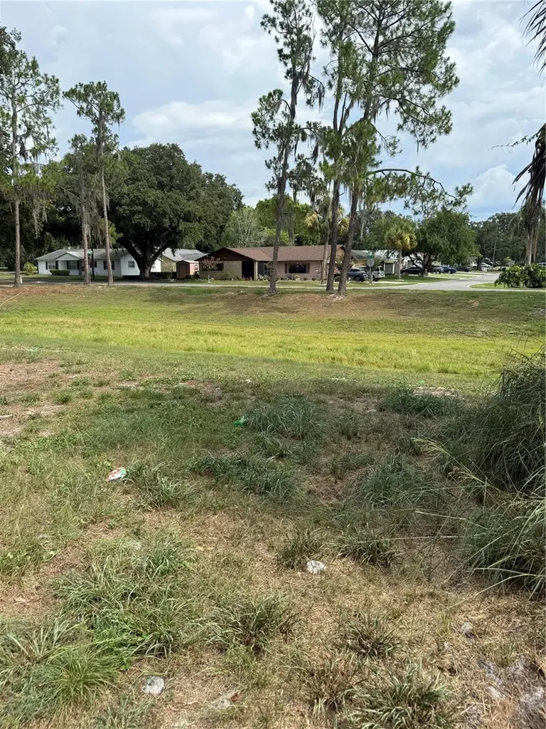 421 Jennifer Lane Eustis FL 32726