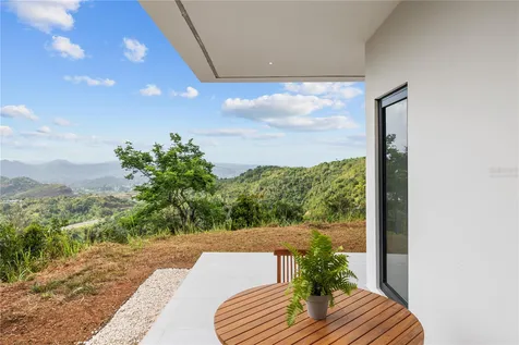 Bo Sumido 7737 Km 1 6 Cayey PR 00736
