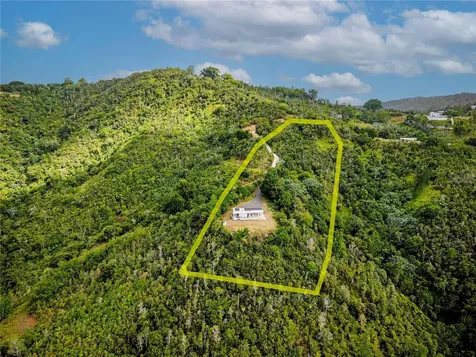 Bo Sumido 7737 Km 1 6 Cayey PR 00736