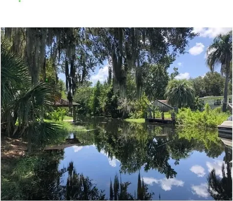 20 Oakdale Street Windermere FL 34786