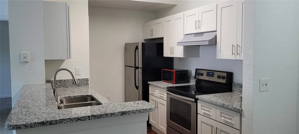 17104 Carrington Park Drive Tampa FL 33647