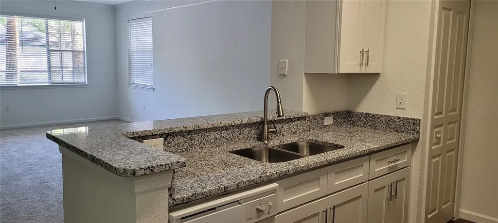 17104 Carrington Park Drive Tampa FL 33647