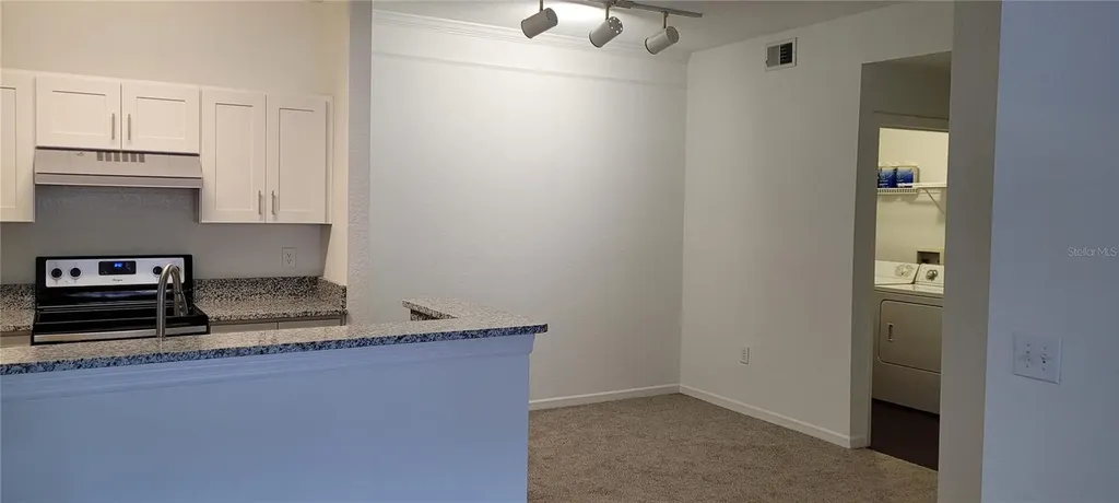 17104 Carrington Park Drive Tampa FL 33647