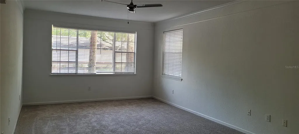 17104 Carrington Park Drive Tampa FL 33647