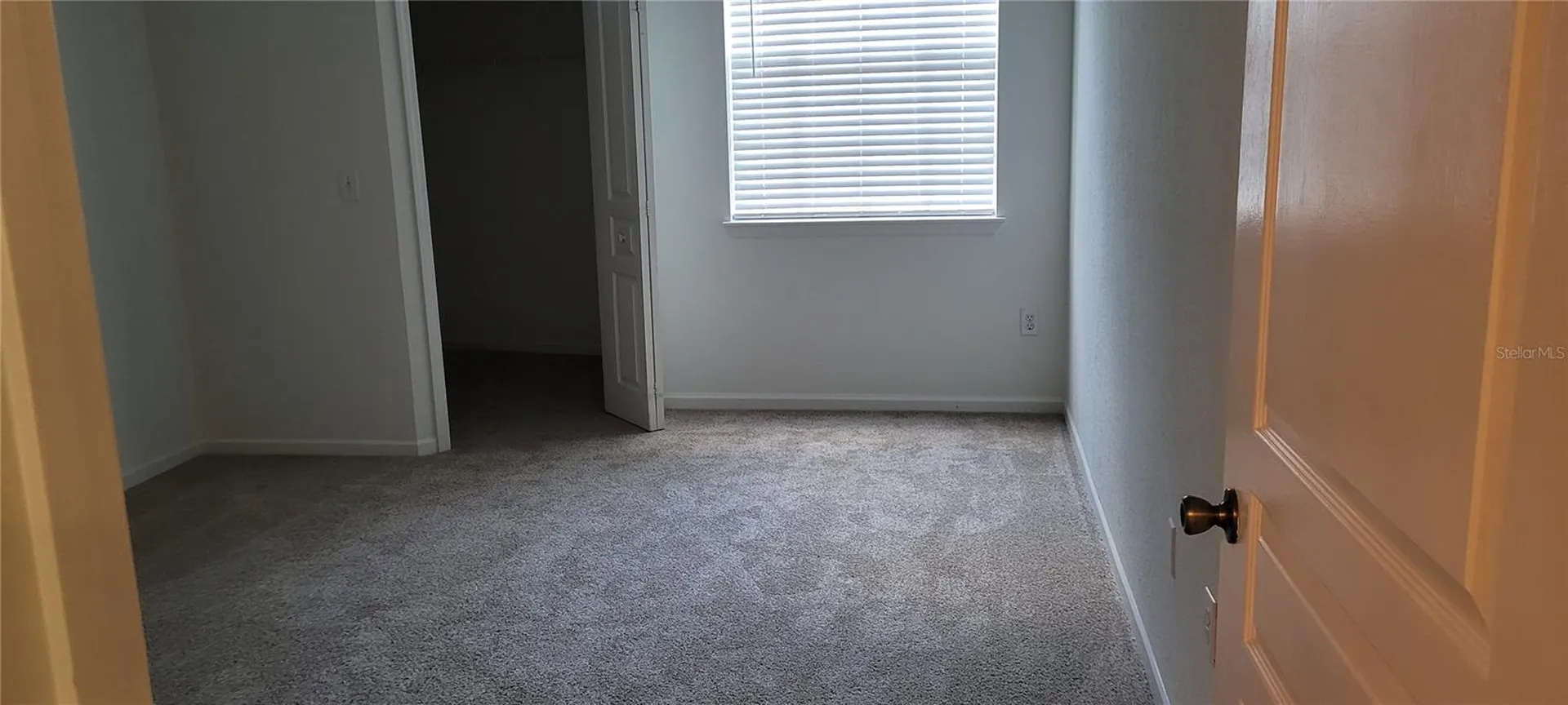 17104 Carrington Park Drive Tampa FL 33647