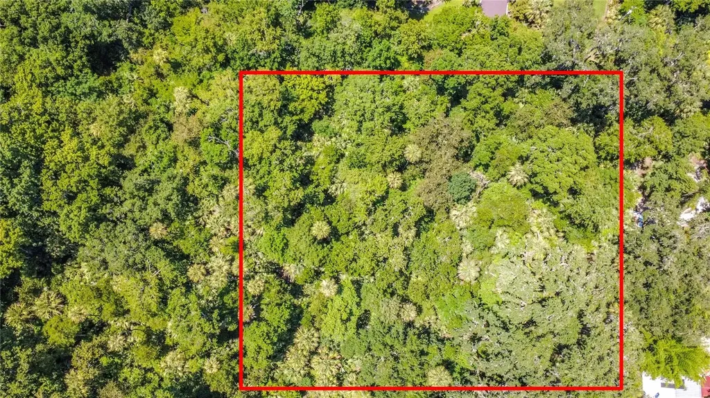 Shady Palm Cove Oviedo FL 32765