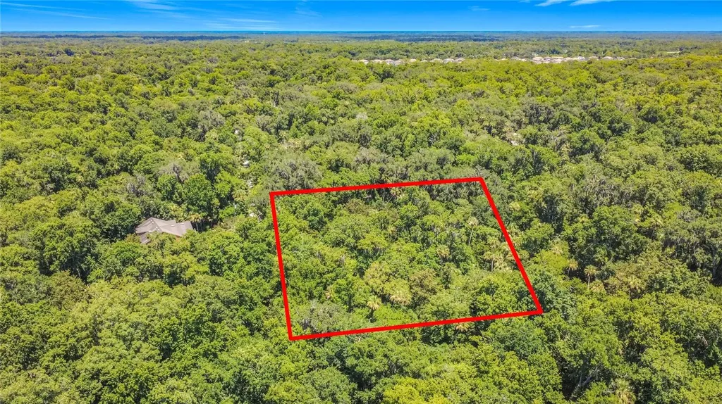 Shady Palm Cove Oviedo FL 32765