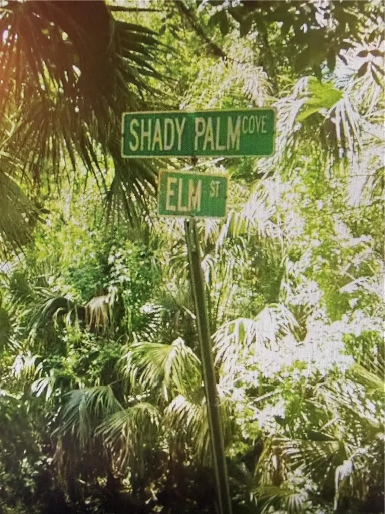 Shady Palm Cove Oviedo FL 32765