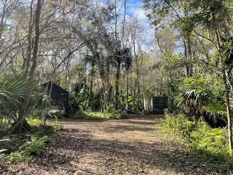 Shady Palm Cove Oviedo FL 32765
