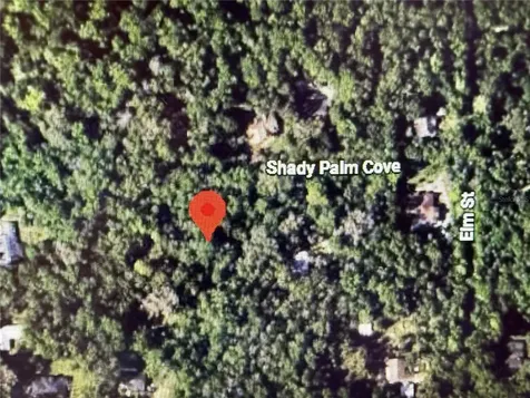 Shady Palm Cove Oviedo FL 32765