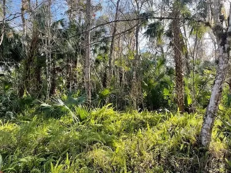 Shady Palm Cove Oviedo FL 32765
