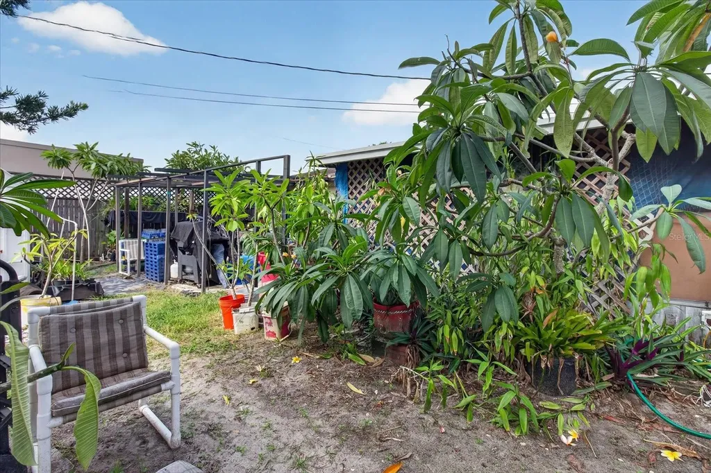 4448 Terry Loop New Port Richey FL 34652