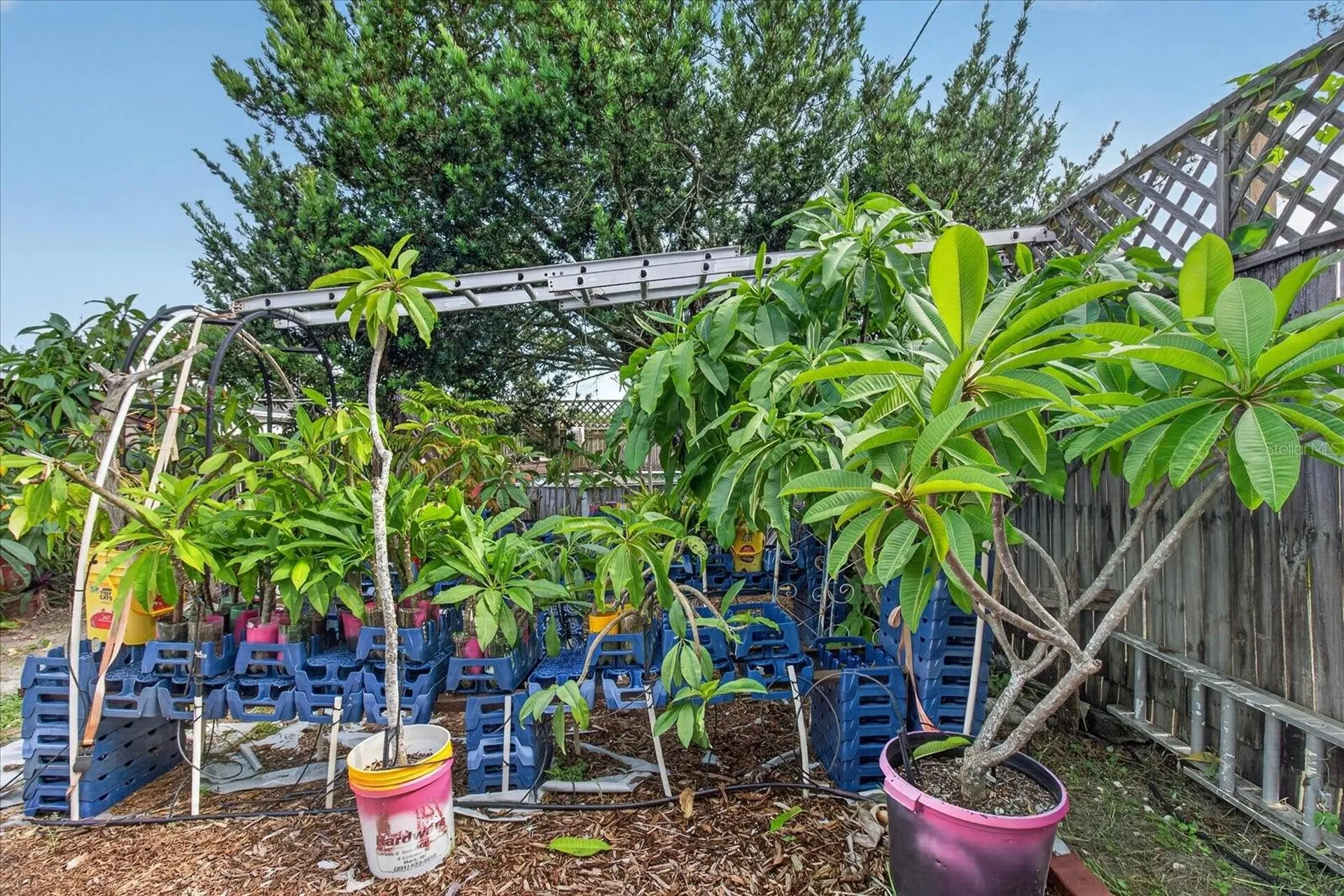 4448 Terry Loop New Port Richey FL 34652