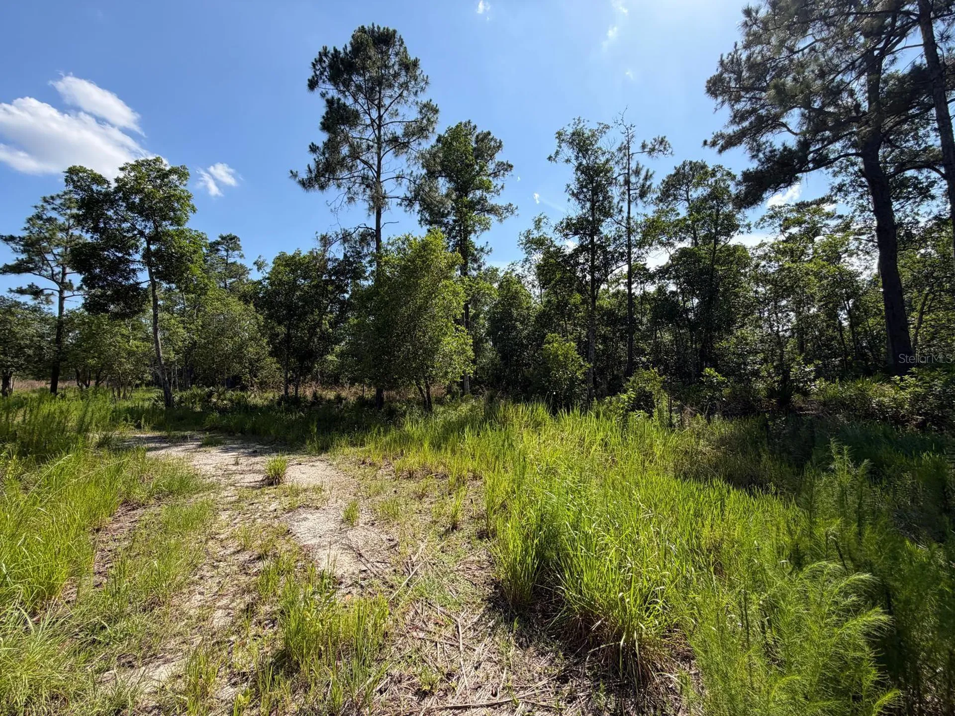 1842 Sweetwater Bend Deltona FL 32738