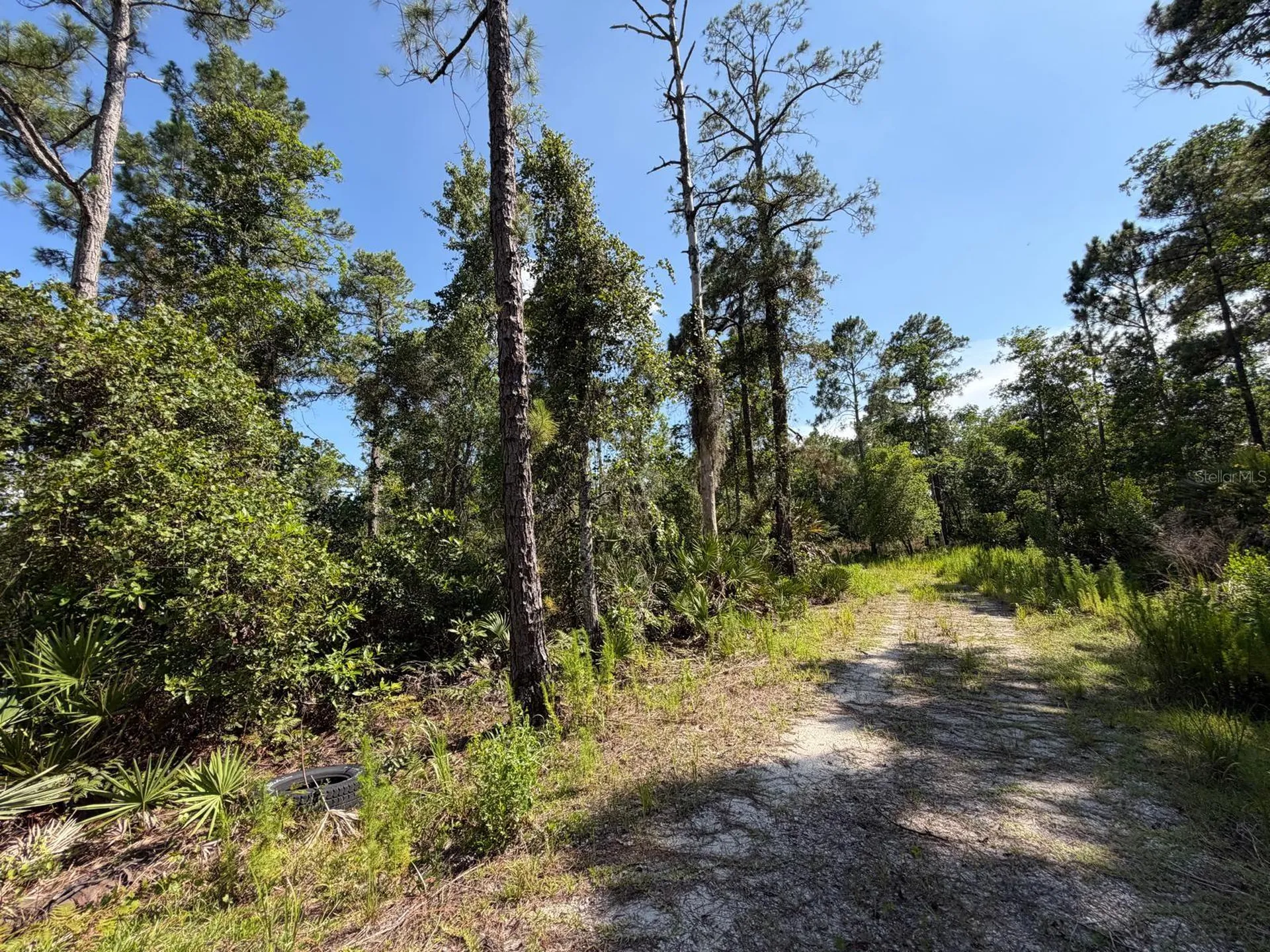 1842 Sweetwater Bend Deltona FL 32738