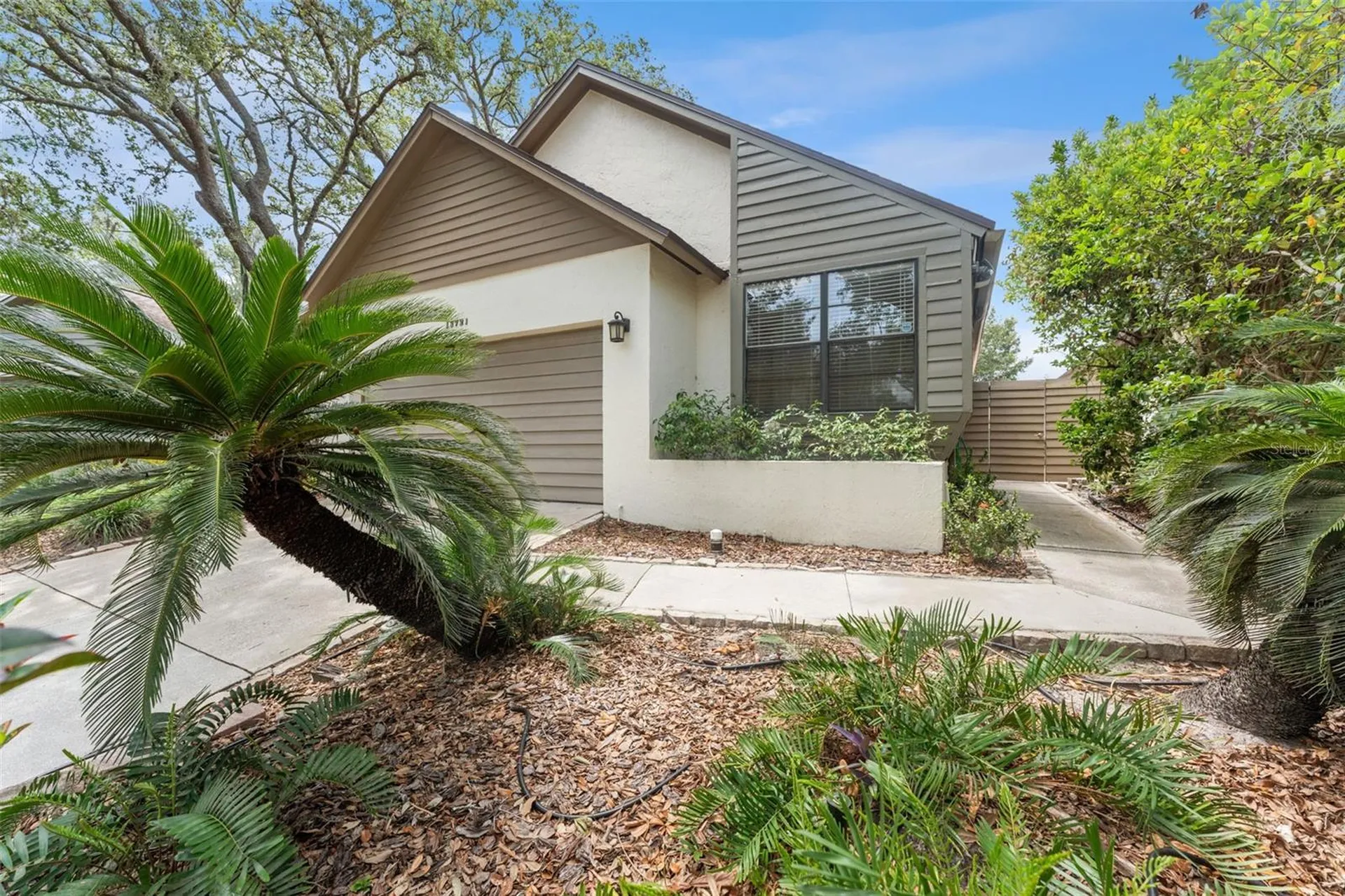 13721 Lazy Oak Drive Tampa FL 33613