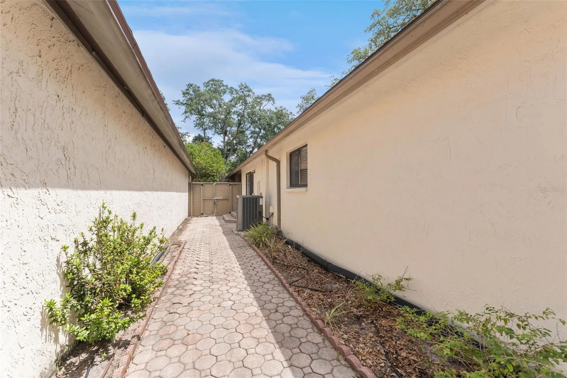 13721 Lazy Oak Drive Tampa FL 33613