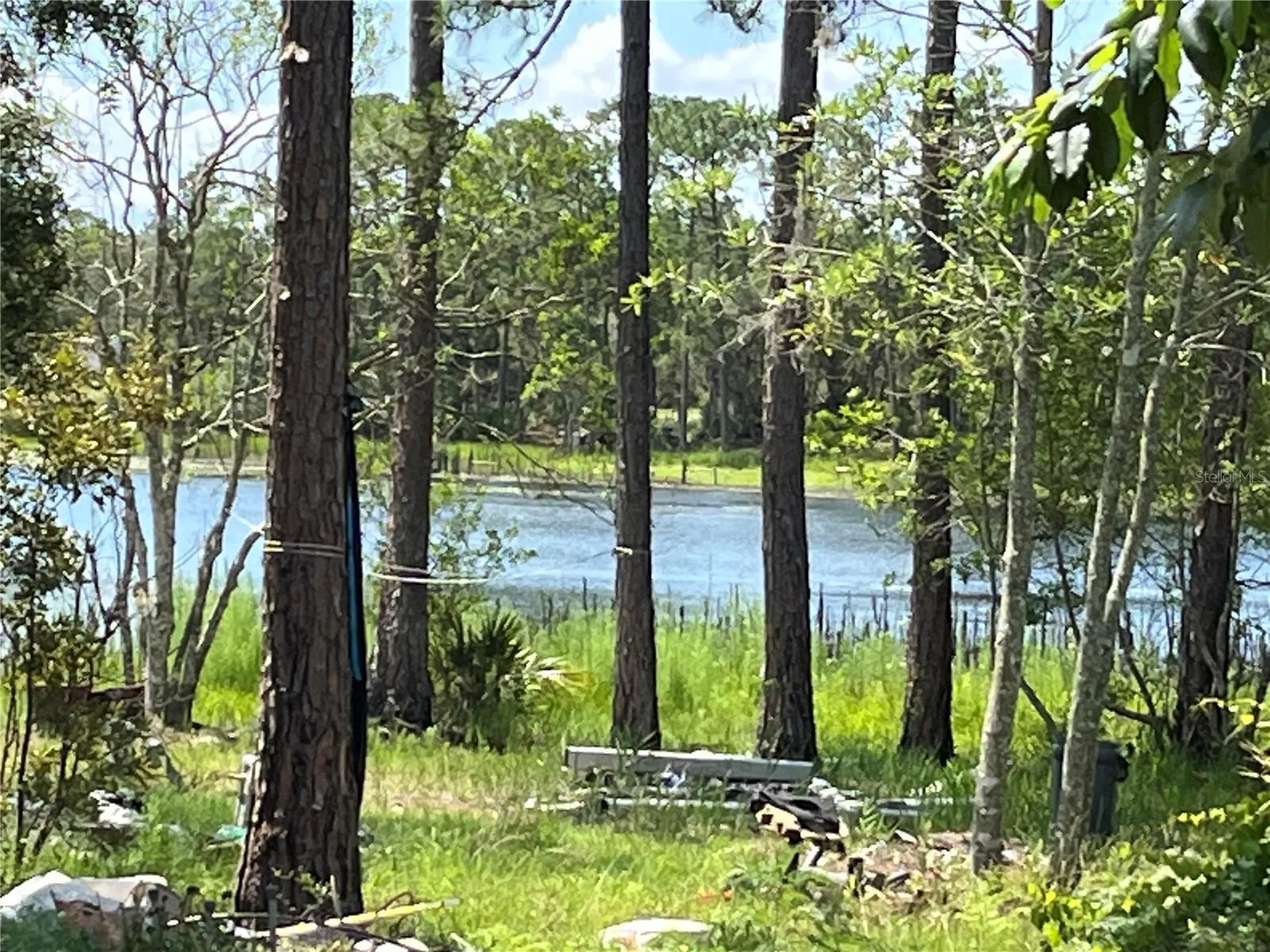 42334 W Lake Road Deland FL 32720