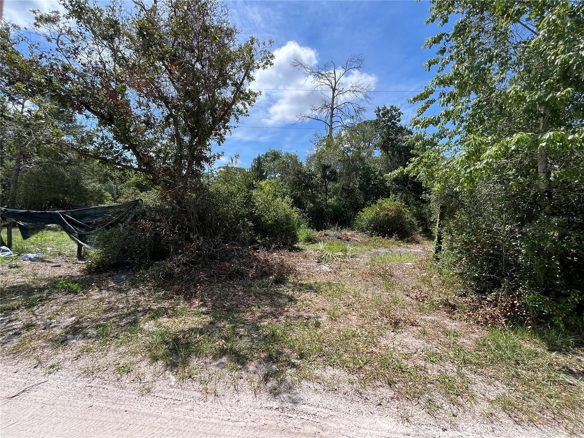 42334 W Lake Road Deland FL 32720