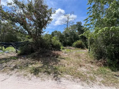 42334 W Lake Road Deland FL 32720