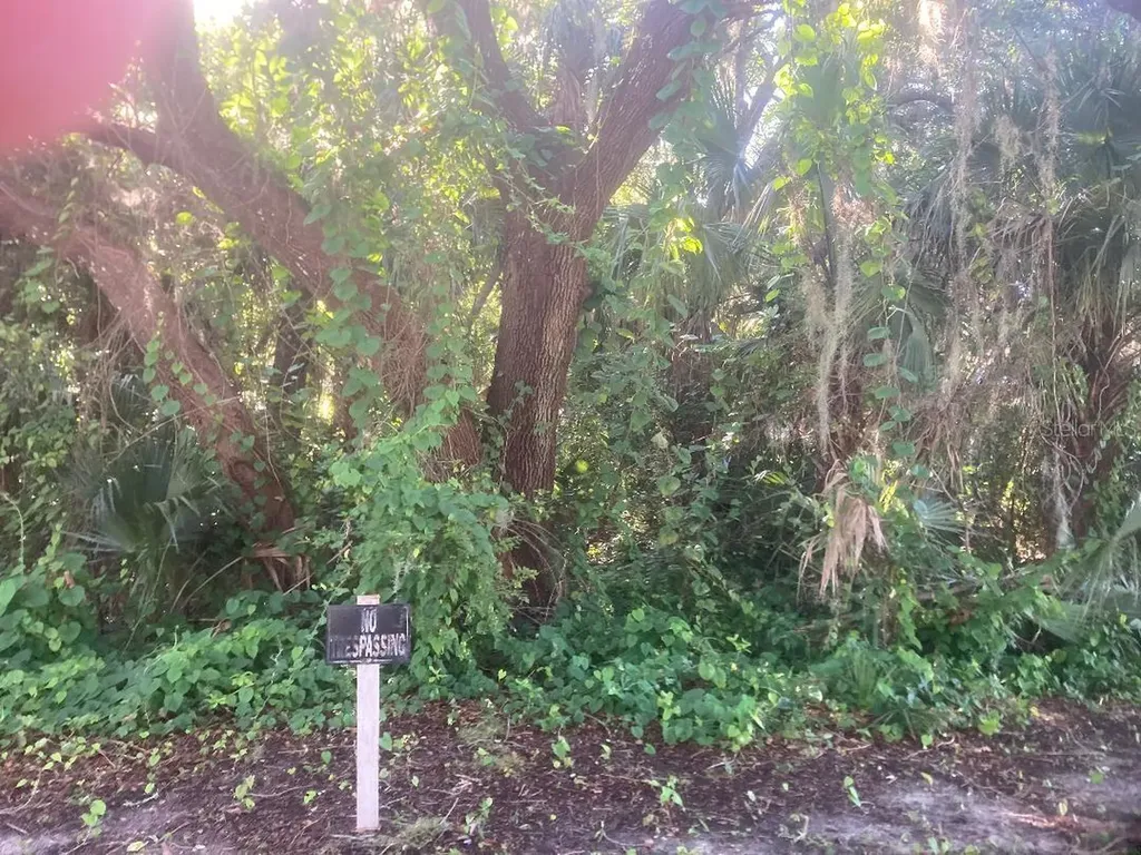 0 Nancy Street Oak Hill FL 32759
