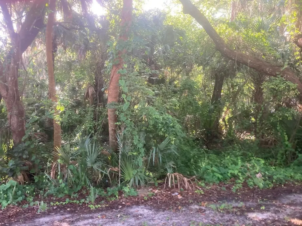 0 Nancy Street Oak Hill FL 32759