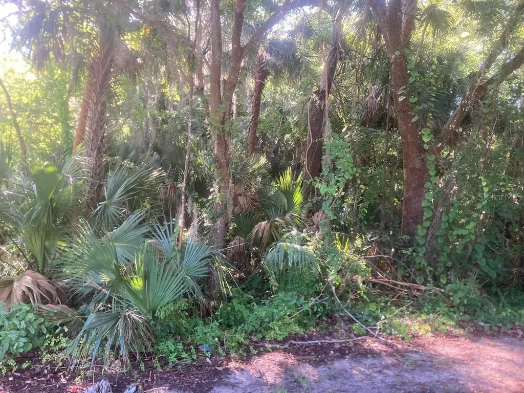 0 Nancy Street Oak Hill FL 32759